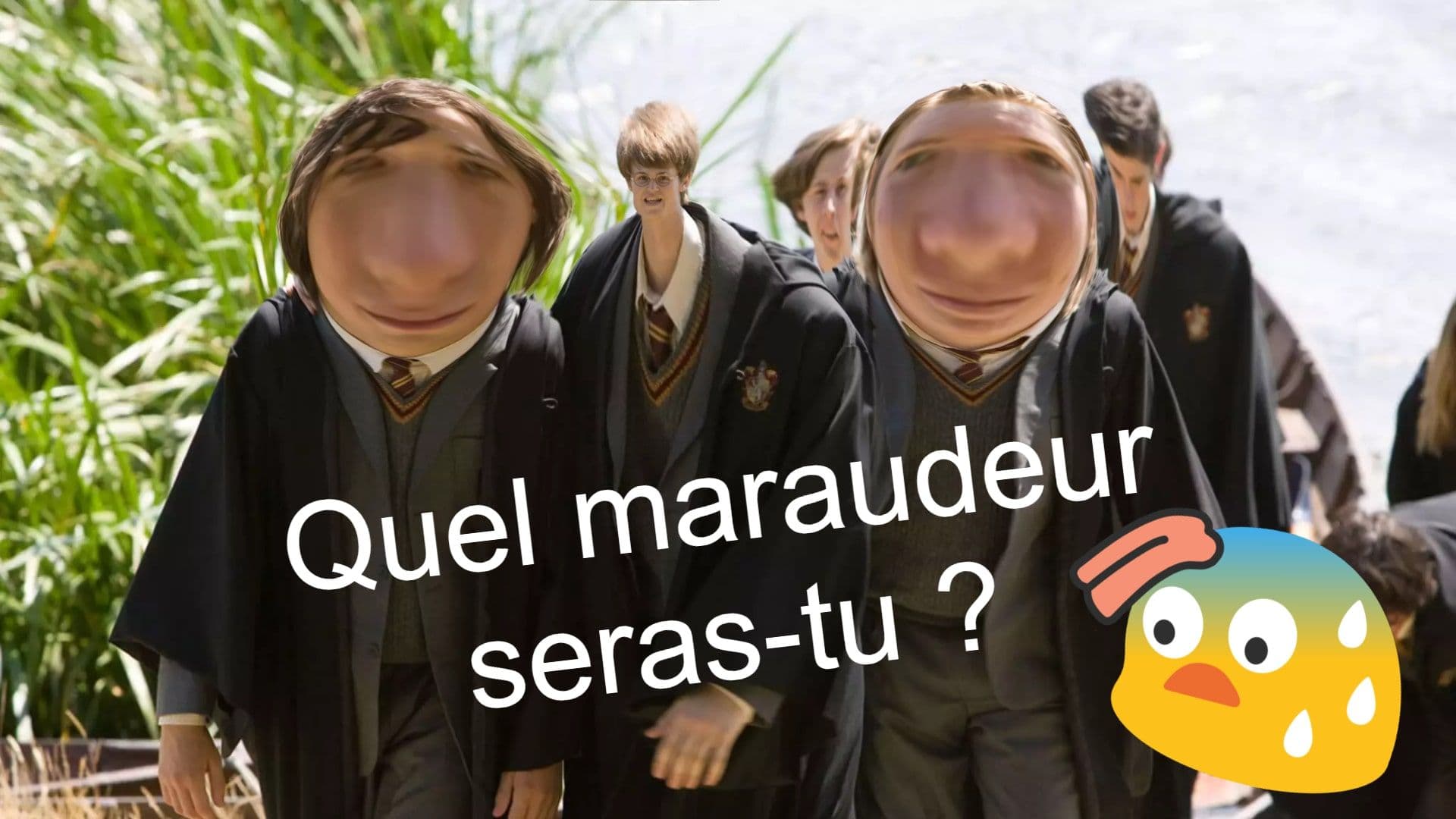 Quiz Harry Potter - Quel maraudeur es-tu ?